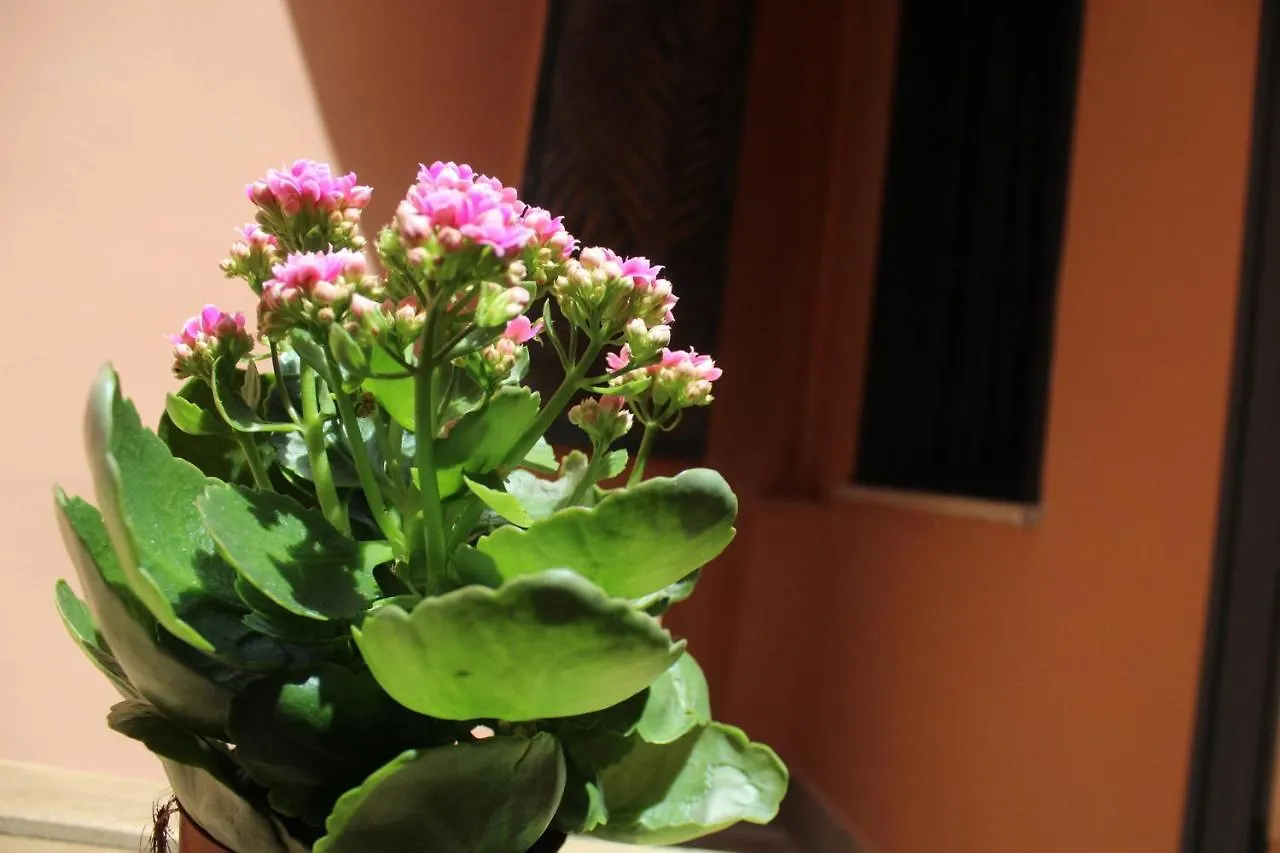 Maison d'hôtes Lion Luxury Rooms Rome