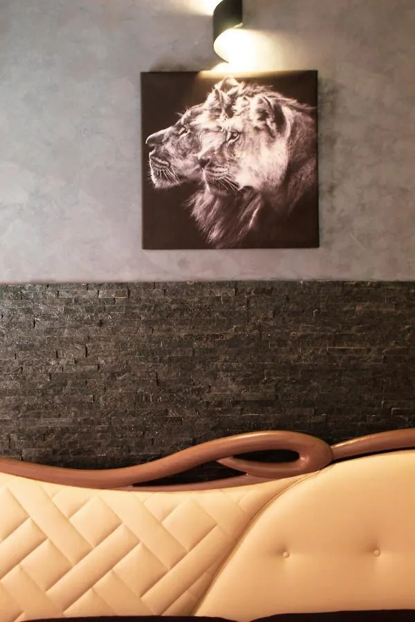 Lion Luxury Rooms Rome Italy